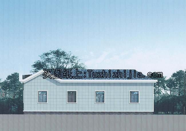 一层乡村自建别墅设计方案推荐,含外观图片