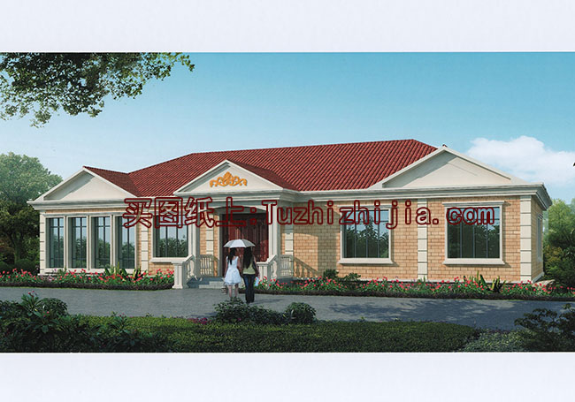 五间一层平房别墅设计图外观现代时尚