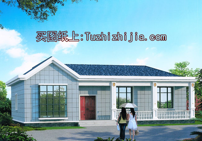 140平一层平房别墅设计图,两客厅两卫四卧室