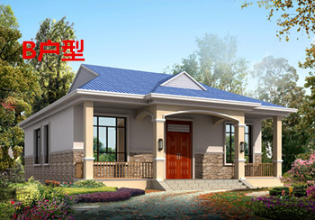 最漂亮的一层平房图片及设计图,造价18万左右,结构简单易于施工