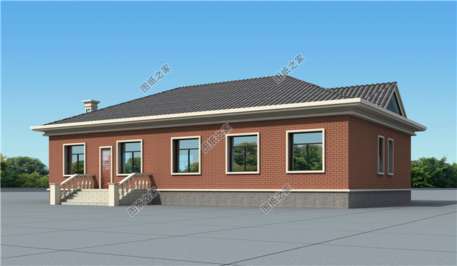 简单实用农村自建一层别墅设计图,20x12米